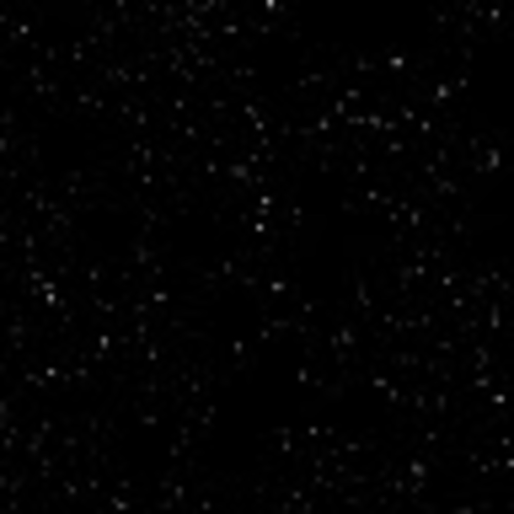 Meet your Posher, Riva